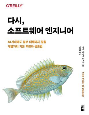 다시, 소프트웨어 엔지니어