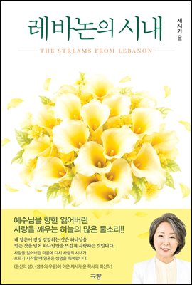 레바논의 시내