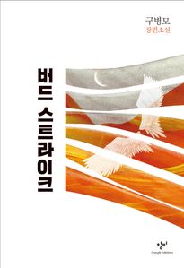 버드 스트라이크