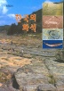한국의 화석 (개정판)