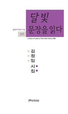 문학아카데미 시선 205 - 달빛문장을 읽다