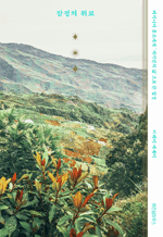 잠정의 위로 - 버지니아 울프에게 자기만의 삶으로 쓴 답장